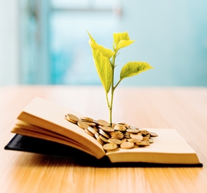 La real educación financiera debería plantearse así?